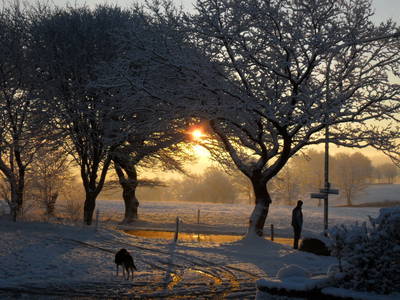 Bild 29 aus  Ferienhof Jansen