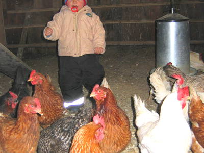 Bild 26 aus  Vogtlandhof Hohe Reuth