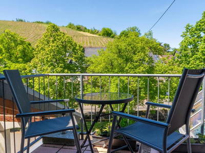 Bild 4 aus  Ferienweingut Becker