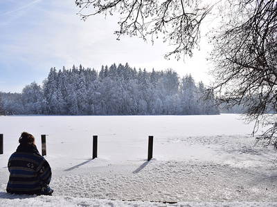 Bild 32 aus  Marksteinhof