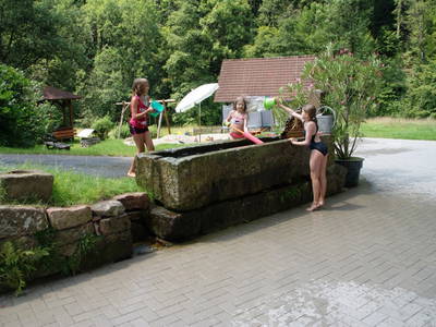 Bild 8 aus  Hanselishof