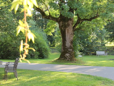 Bild 54 aus  Gut Rechetsberg