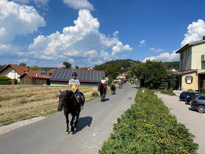 Bild 41 aus  Reitschule Fuchsenhof FN