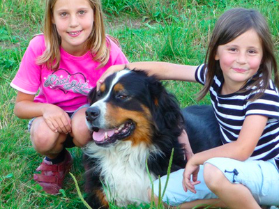 Bild 19 aus  Ferienhof Dingeldey