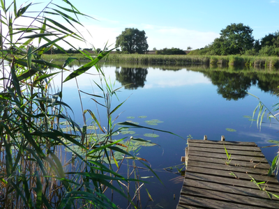 Bild 8 aus  Ferienhaus Melzow