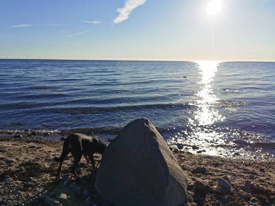 Bild 30 aus  Ferienbauernhof Mau