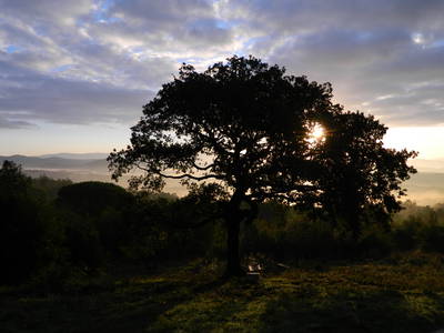 Bild 16 aus  Toscana Ferienhaus Podere di Gualda