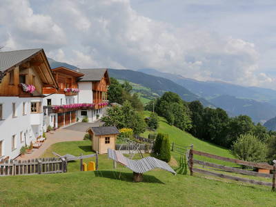 Bild 44 aus  Appartement Birkenhof - Urlaub mit Pferden und Alpakas