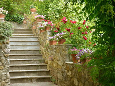 Bild 5 aus  Casa Nova