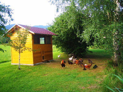 Bild 7 aus  Ferienwohnung Josef Müller