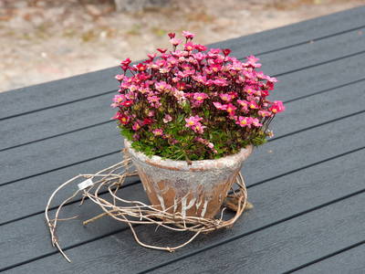 Bild 16 aus  Ferienhof Nissen