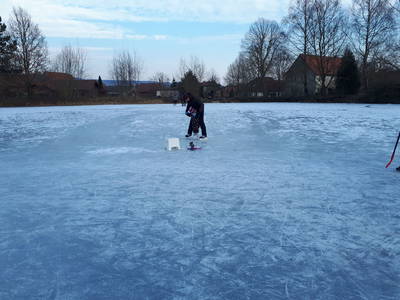 Bild 16 aus  Ferienhof Morich Harz