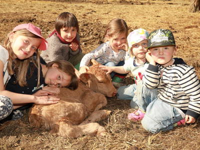 Bild 5 aus  Gut Boltenhof