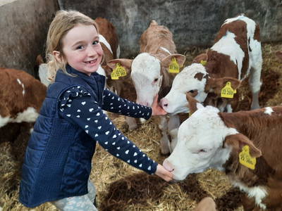 Bild 7 aus  Mojer Hof