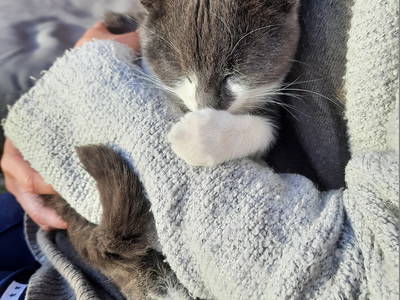 Bild 40 aus  Ferienhof Severin