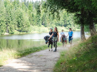 Bild 4 aus  "Forellen - Reiterhof" 5 Sterne Hof direkt am See