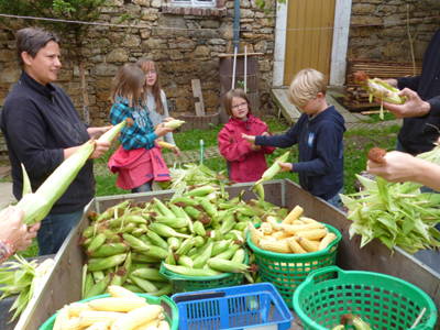 Bild 18 aus  Ferienbauernhof    "Pension Landhof "