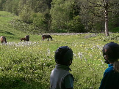 Bild 16 aus  Bichlerhof