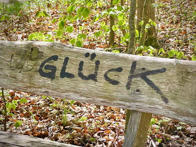 Bild 5 aus  Hof Sonnenmeer - nachhaltig, ökologisch & einzigartig schön