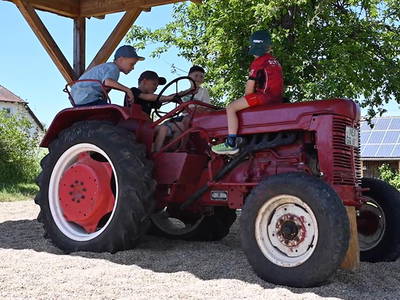 Bild 6 aus  Steigerwaldhof Krafft