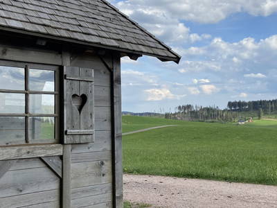 Bild 27 aus  Ferienwohnung Rüttwaldhof