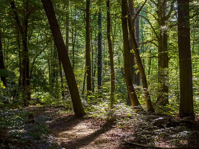 Bild 23 aus  Ferienwohnung am Halderner Wald