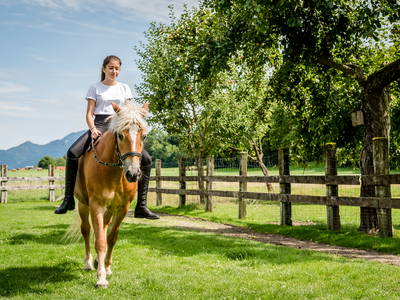 Bild 11 aus  LandSelection Hanznhof