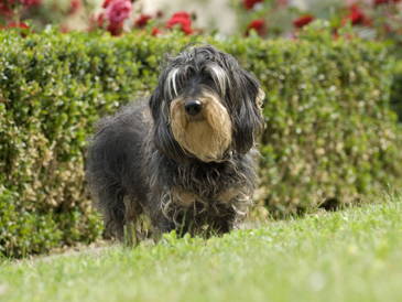 Bild 11 aus  LandSelection Die Schenkenau