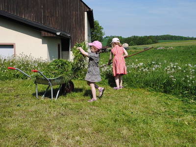 Bild 33 aus  Hof Kaltofen