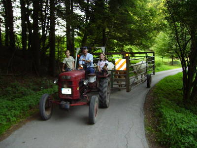 Bild 8 aus  Ferienhof Schmiddes