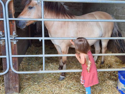 Bild 34 aus  Bauernhofpension Bals