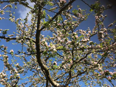 Bild 13 aus  Weihersmühle