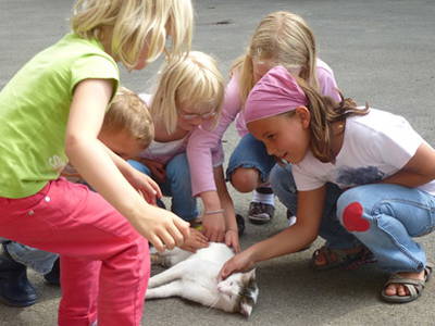 Bild 7 aus  Ferienwohnung Kiechle