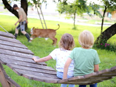 Bild 59 aus  Hollweck's Landoase