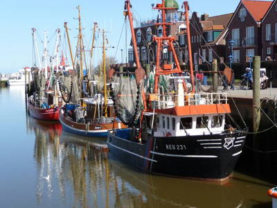 Bild 14 aus  Ulfers Touristik