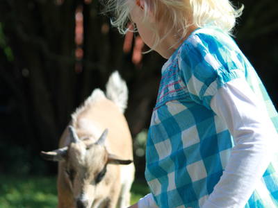 Bild 14 aus  Ferienhof Meetz