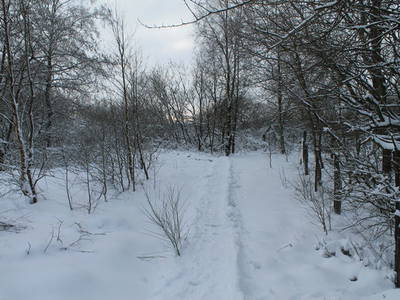 Bild 29 aus  Victorhof Ferienwohnungen