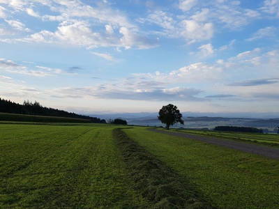 Bild 27 aus  Allgäu Bergferienhof