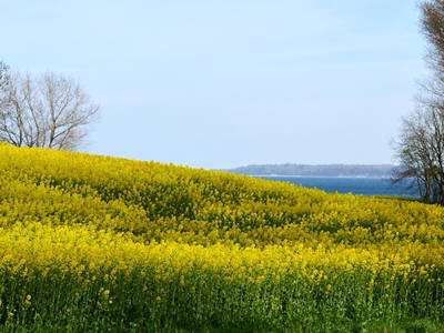 Bild 12 aus  Elsas Enkel Ostseeurlaub