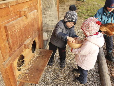 Bild 13 aus  Stoffnerhof