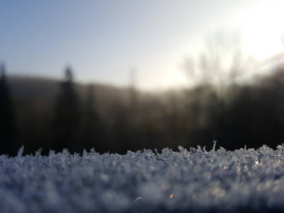 Bild 216 aus  Le Colombié - Ferienhäuser an der Dordogne mieten