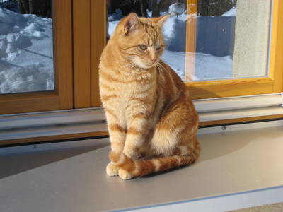 Bild 17 aus  Landhaus Rombach