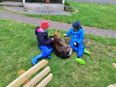 Bild 25 aus  Ferienhof Störwiese