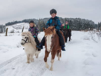 Bild 45 aus  LandSelection Ferienhof Zur Hasenkammer
