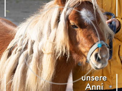 Ferien auf dem Bauernhof _ unsere Pferde und Ponys