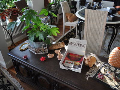 Bild 20 aus  Nutztier-Arche Hof Steindamm