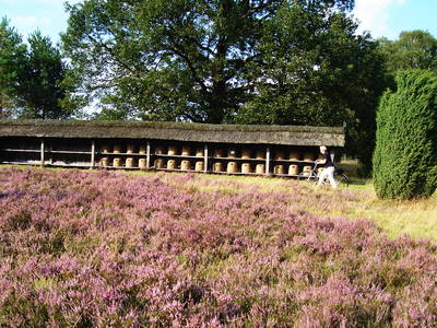 Bild 15 aus  Ferienhof Stegen