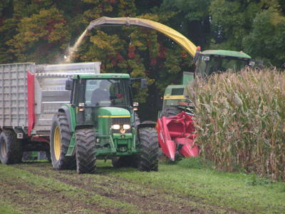 Bild 34 aus  Familien-Bauernhofurlaub im Herzen der Schweiz