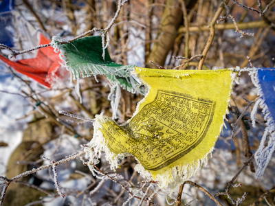 Bild 18 aus  Kunterbunthof – Landurlaub am Künstlerhof in Ostseenähe