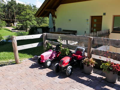 Bild 14 aus  Weberhof - Biobauernhof